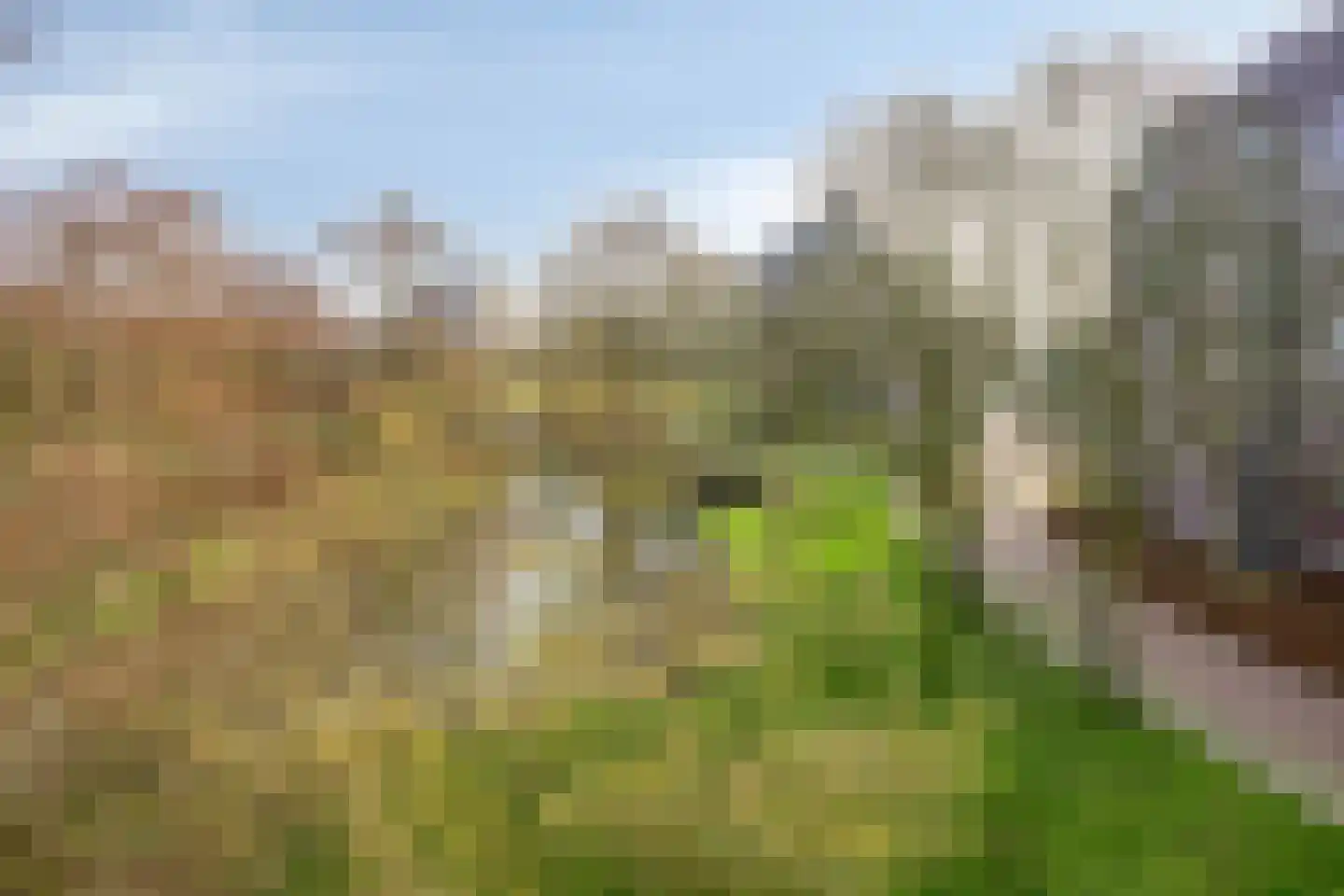 Logger 150 Amstelveen thumbnail 16