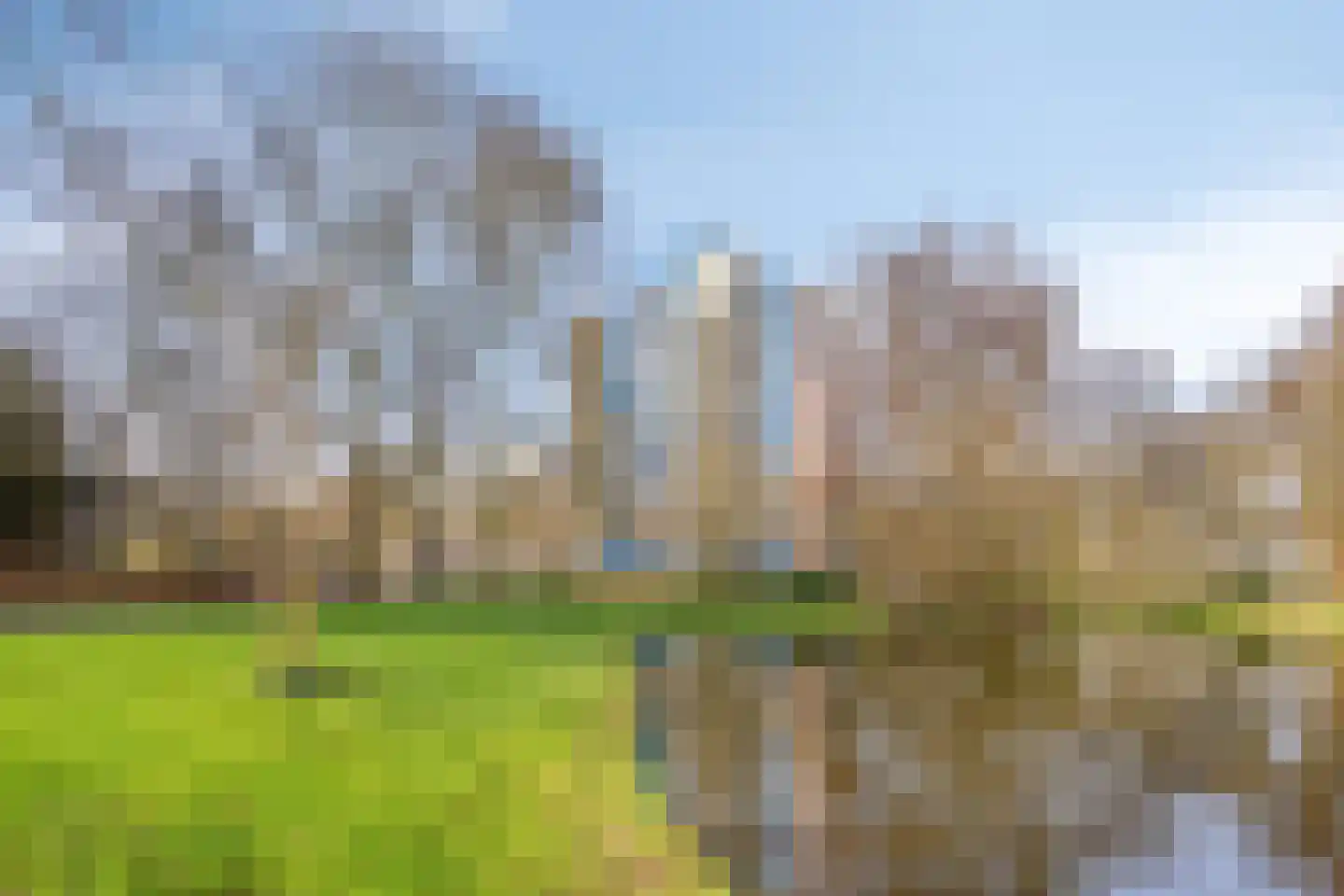 Logger 150 Amstelveen thumbnail 26