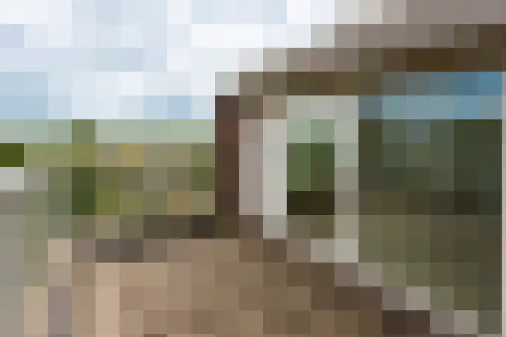 Logger 151 Amstelveen thumbnail 18
