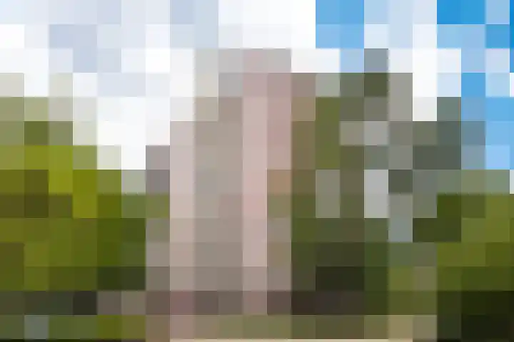 Logger 151 Amstelveen thumbnail 5
