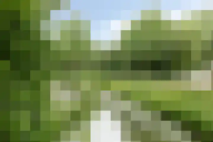 Logger 154 Amstelveen thumbnail 32