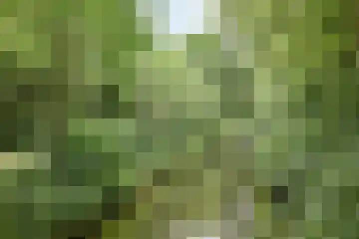 Logger 154 Amstelveen thumbnail 33