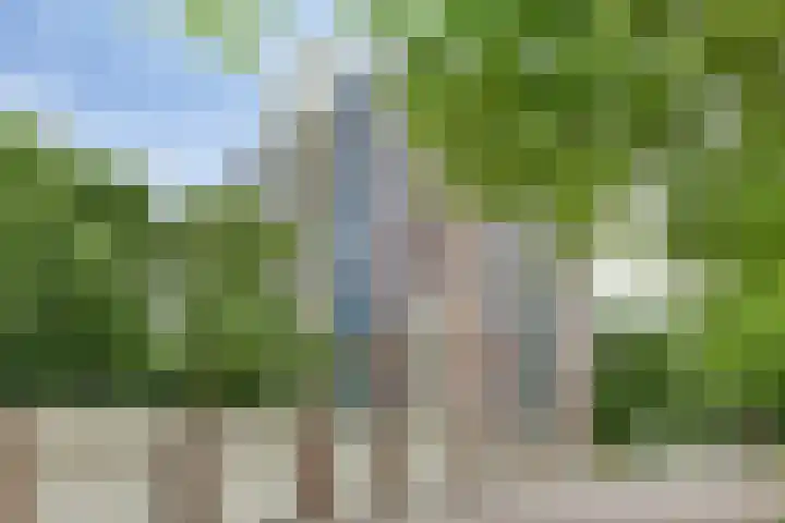 Logger 154 Amstelveen thumbnail 34