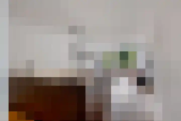 Logger 16 Amstelveen thumbnail 10