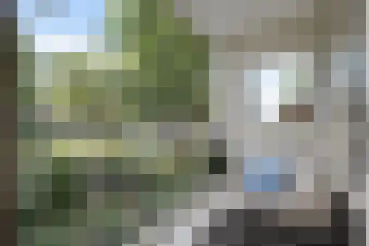 Logger 16 Amstelveen thumbnail 28