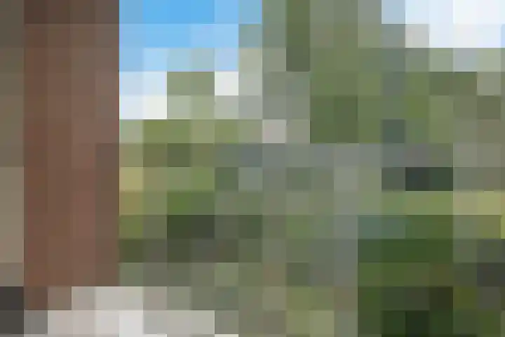 Logger 16 Amstelveen thumbnail 29