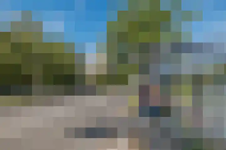 Logger 16 Amstelveen thumbnail 31