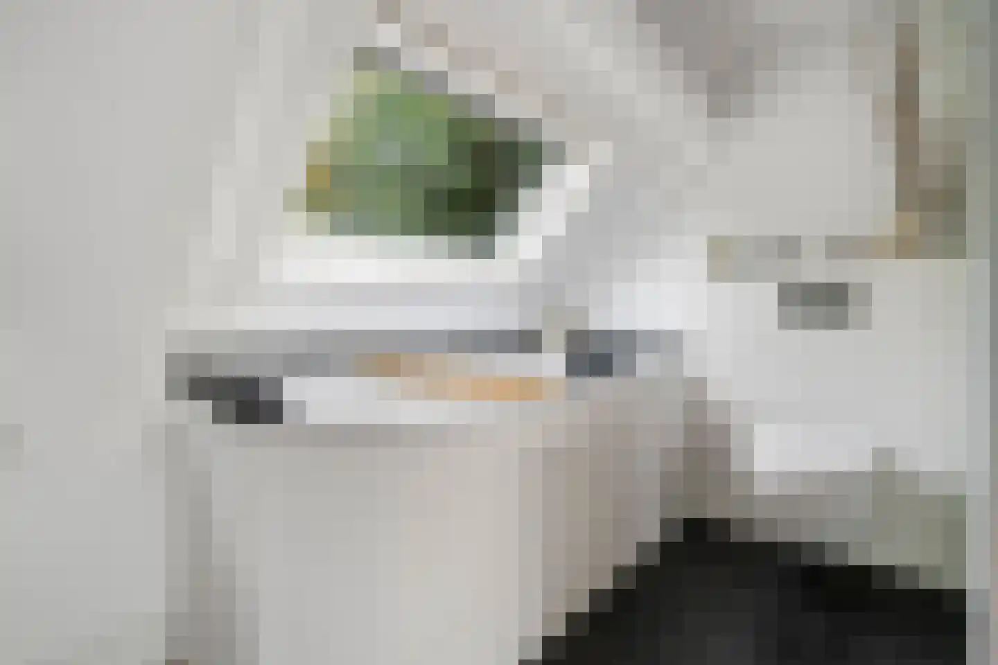 Logger 161 Amstelveen thumbnail 34