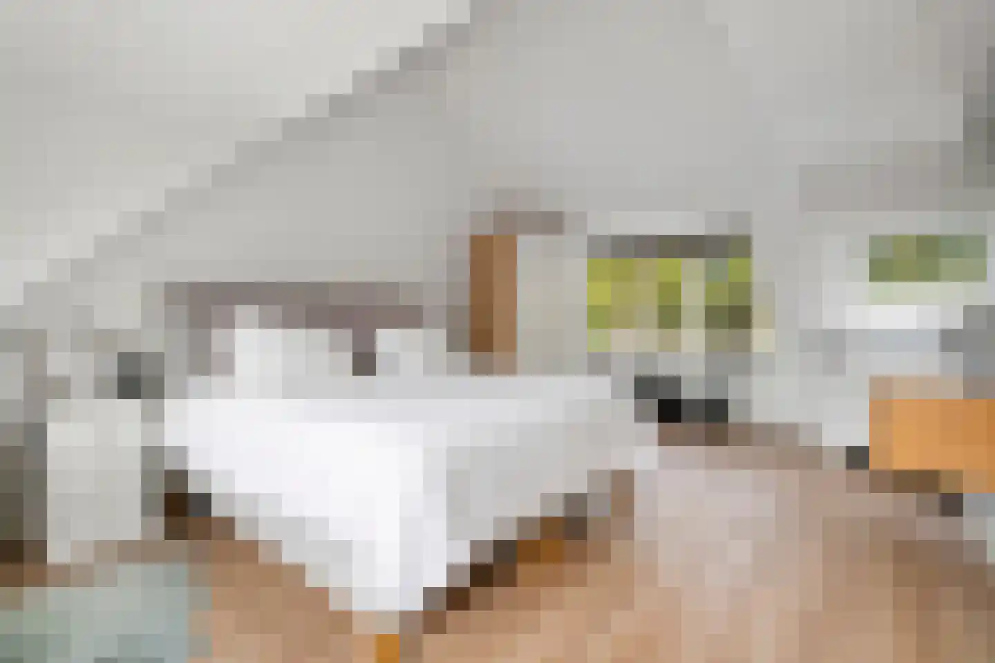 Logger 161 Amstelveen thumbnail 37