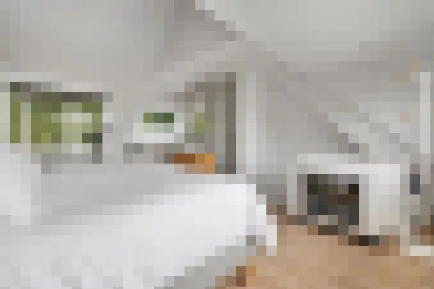 Logger 161 Amstelveen thumbnail 40