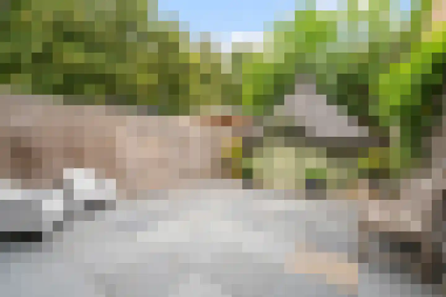 Logger 161 Amstelveen thumbnail 42