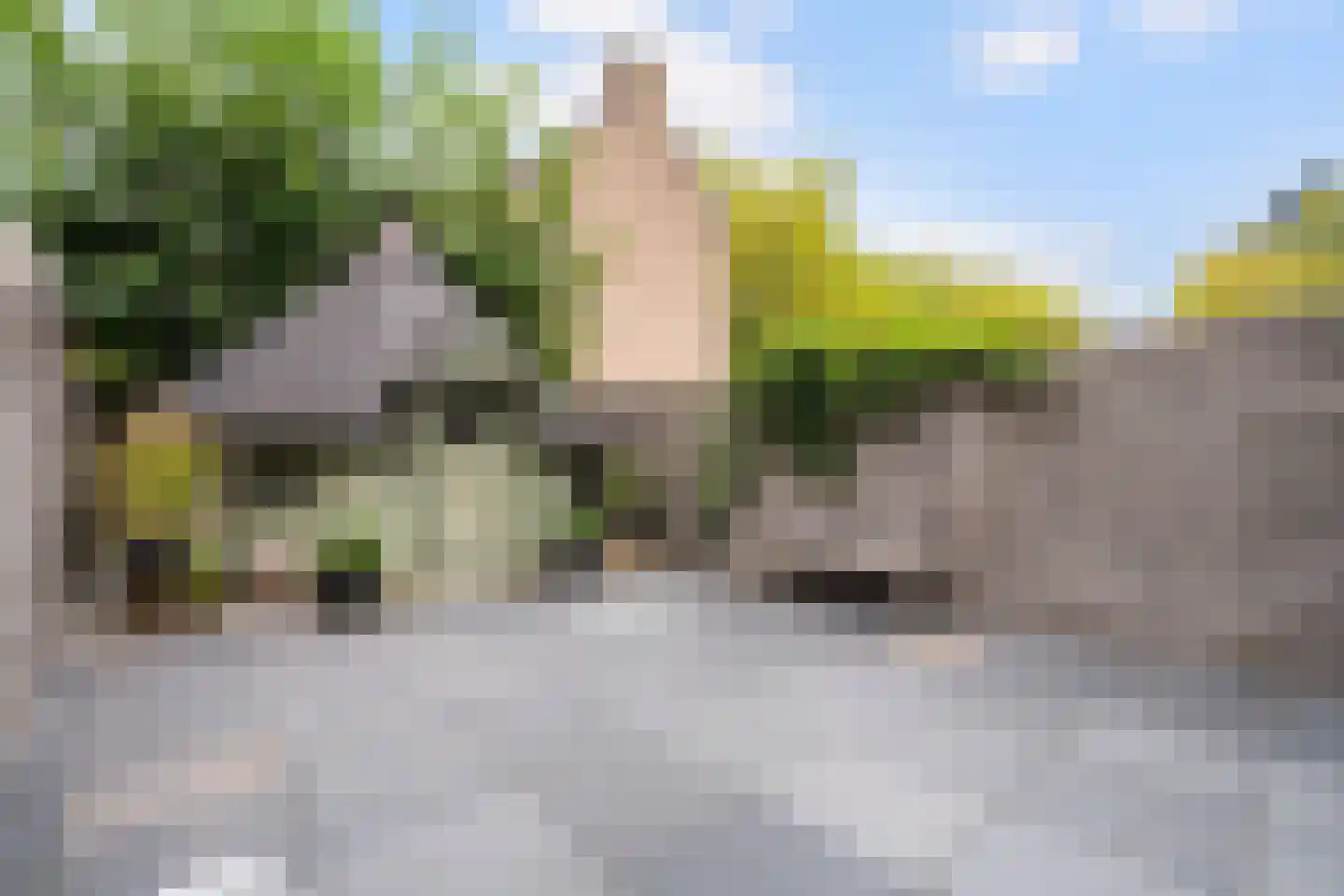 Logger 161 Amstelveen thumbnail 43