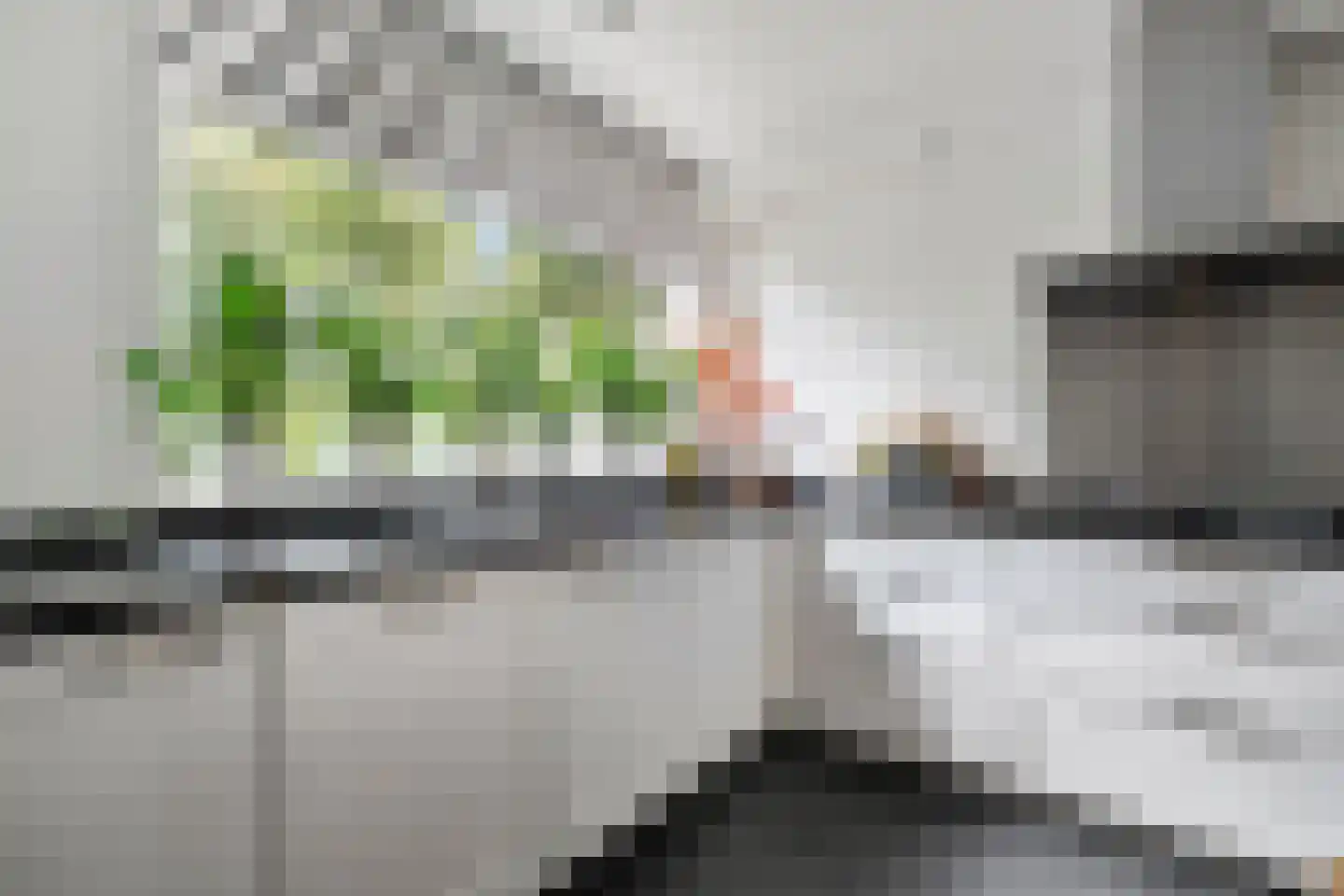 Logger 161 Amstelveen thumbnail 7