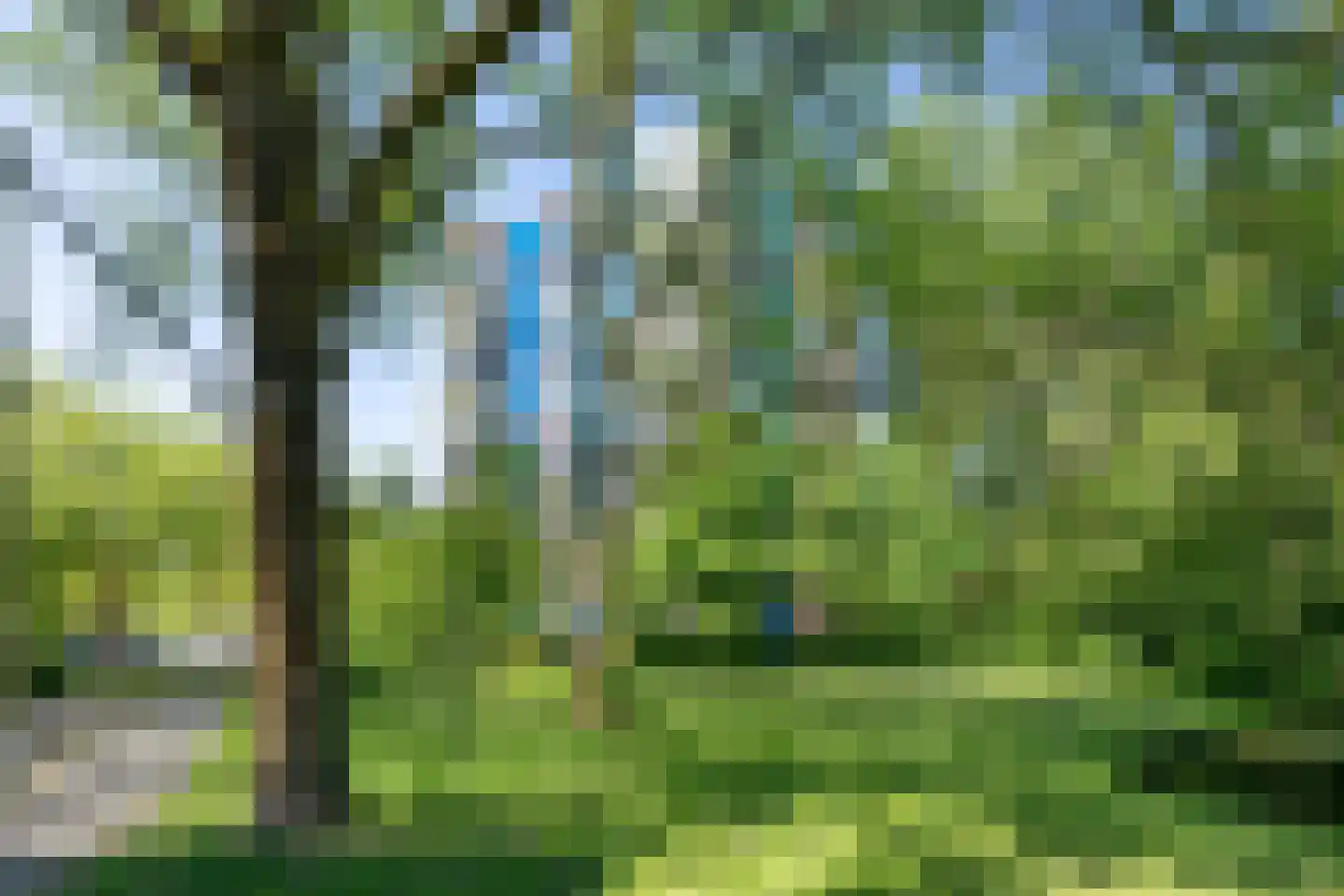 Logger 166 Amstelveen thumbnail 5
