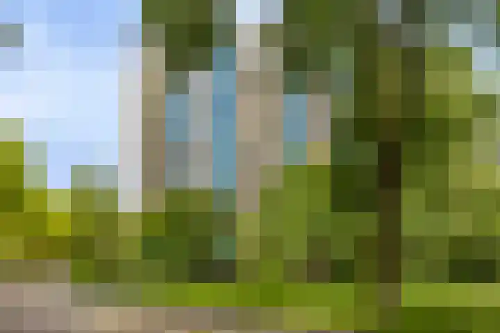 Logger 174 in Amstelveen