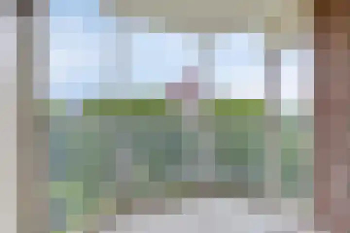 Logger 174 Amstelveen thumbnail 22