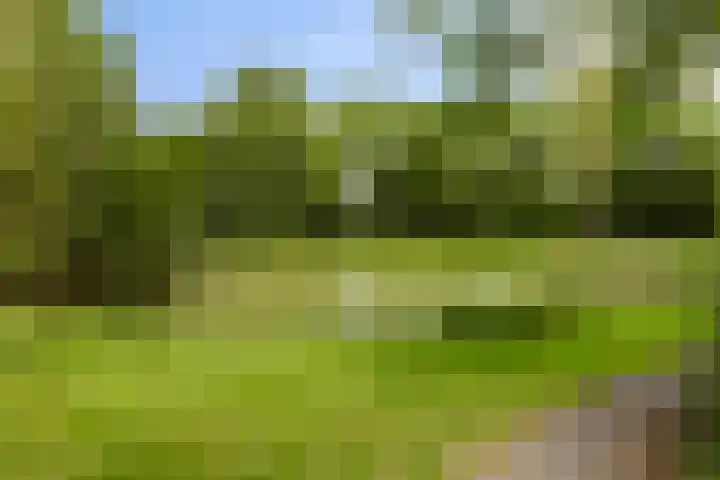 Logger 174 Amstelveen thumbnail 28