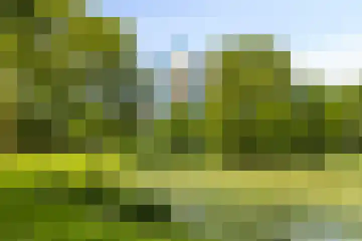 Logger 174 Amstelveen thumbnail 29