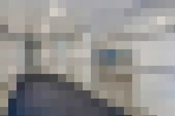 Logger 174 Amstelveen foto 3