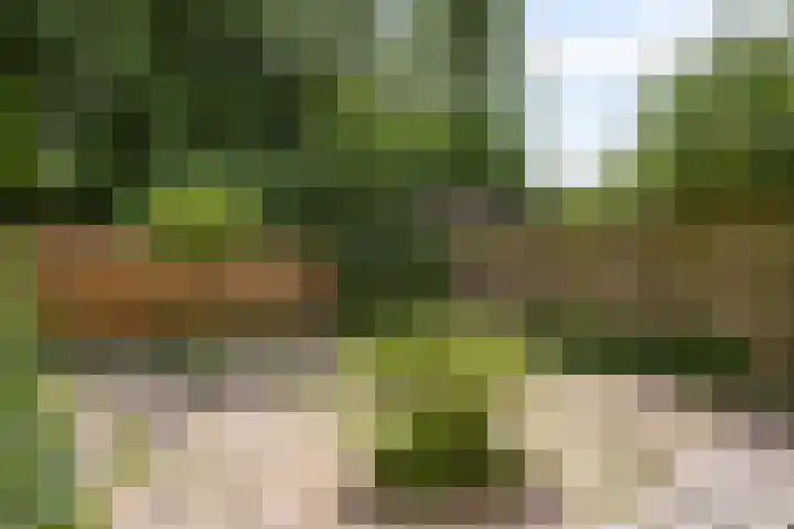 Logger 175 Amstelveen thumbnail 10