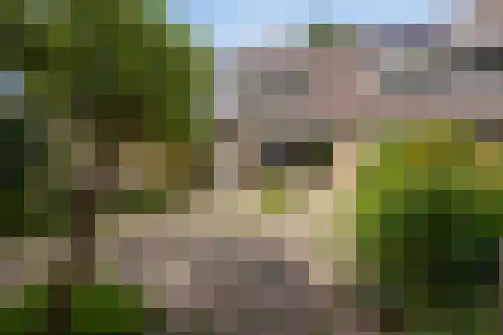 Logger 175 Amstelveen thumbnail 11