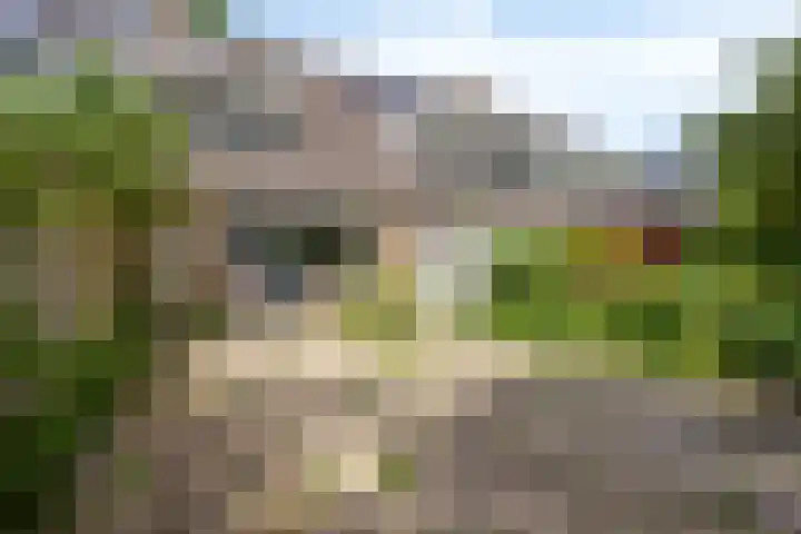 Logger 175 Amstelveen thumbnail 12