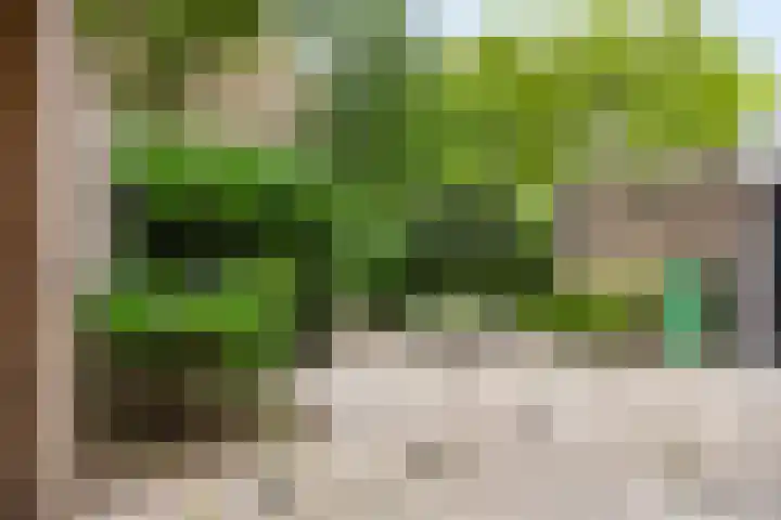 Logger 175 Amstelveen thumbnail 33