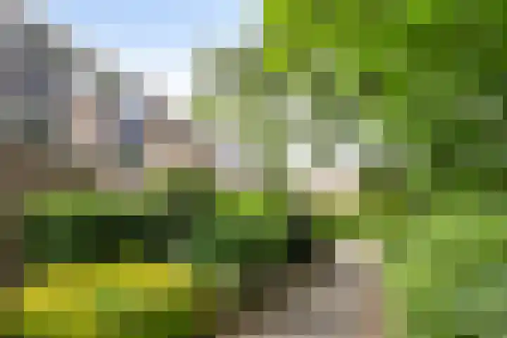 Logger 175 Amstelveen thumbnail 34