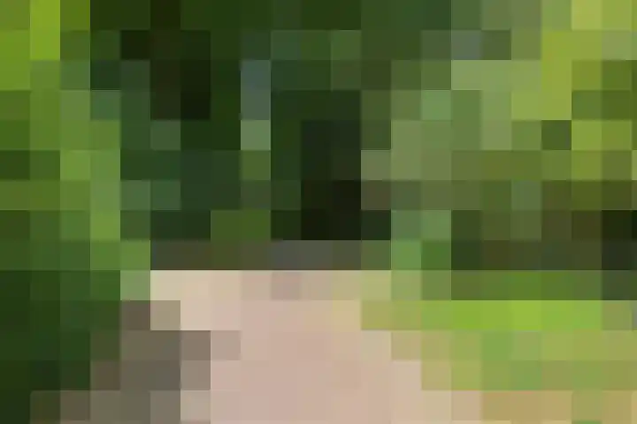 Logger 175 Amstelveen thumbnail 35