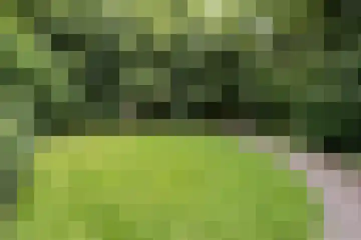 Logger 175 Amstelveen thumbnail 36