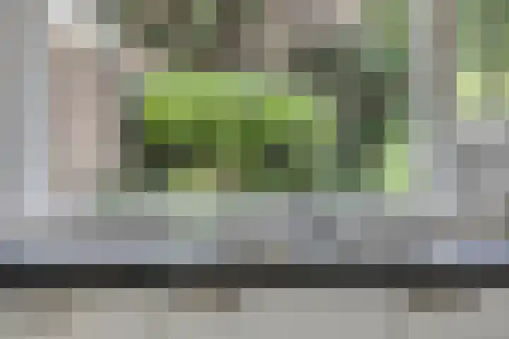Logger 175 Amstelveen thumbnail 7