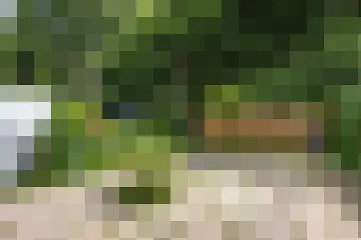 Logger 175 Amstelveen thumbnail 9