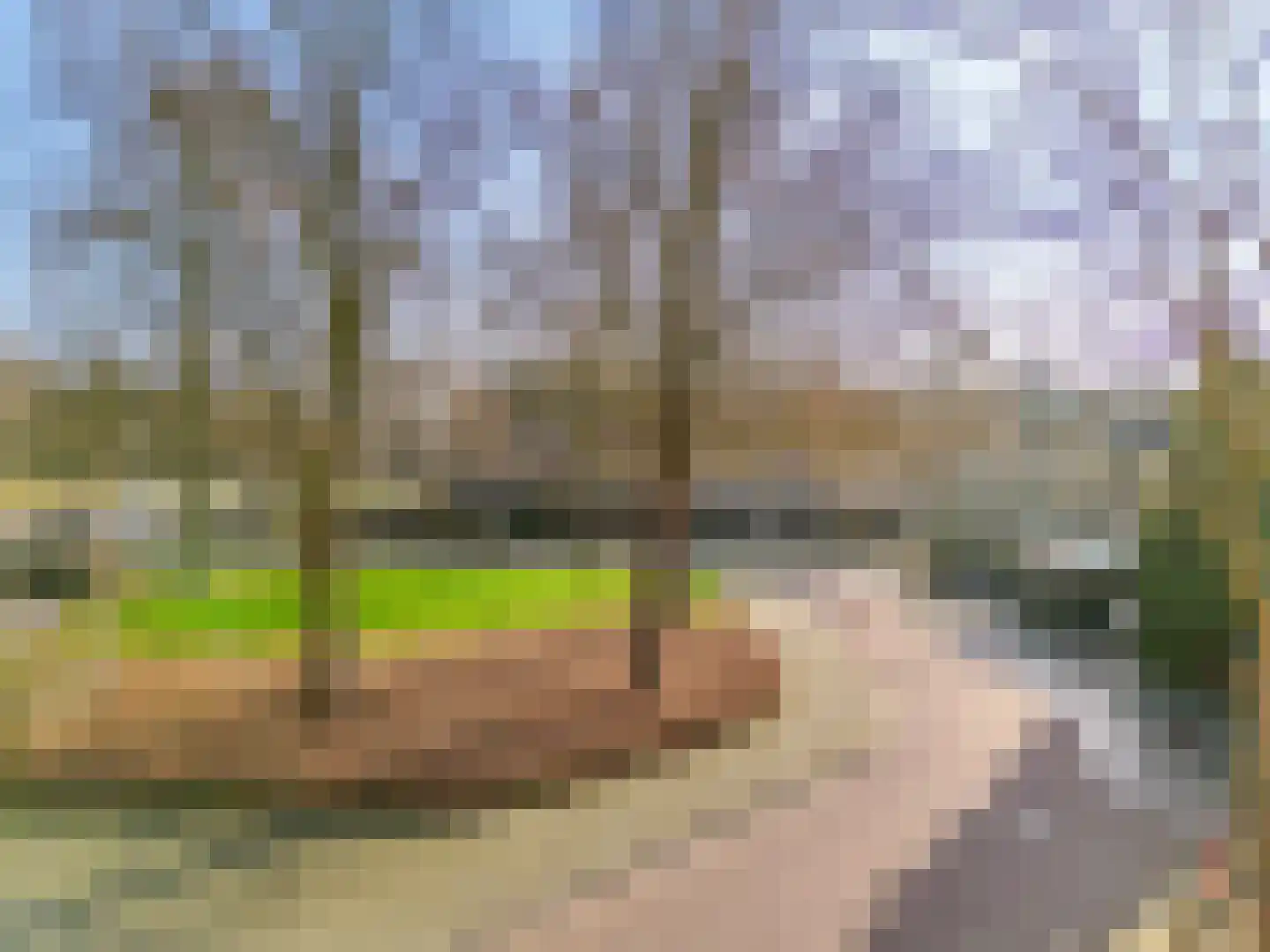 Logger 2 Amstelveen thumbnail 18
