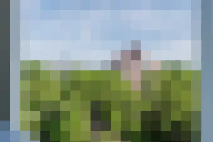 Logger 200 Amstelveen thumbnail 30