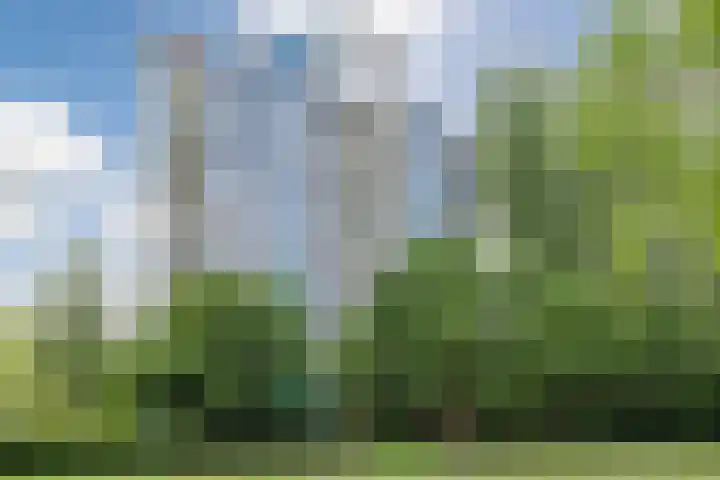Logger 200 Amstelveen thumbnail 36