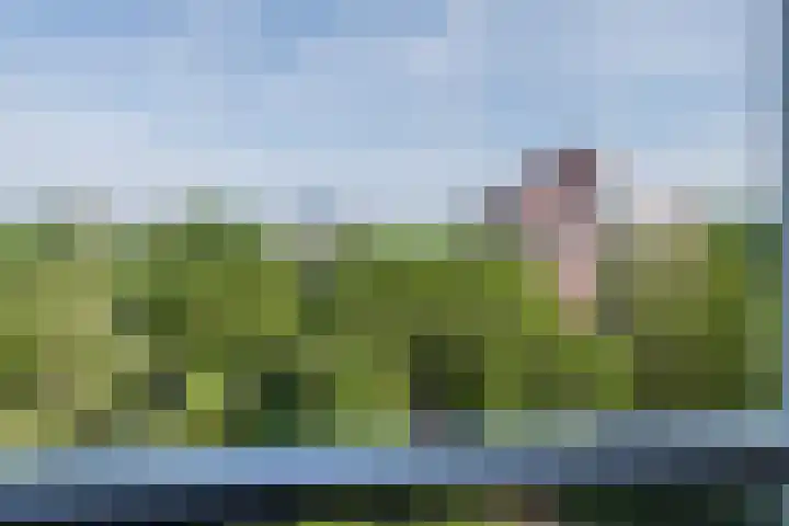 Logger 200 Amstelveen thumbnail 38