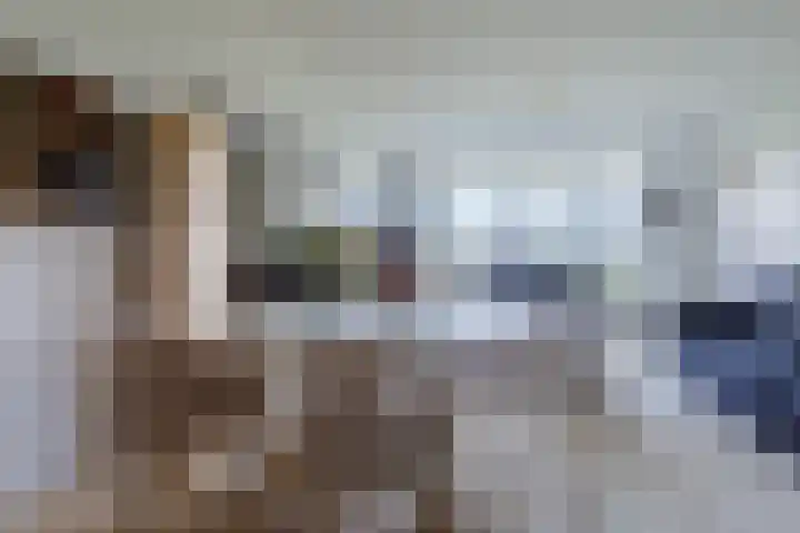 Logger 200 Amstelveen thumbnail 8