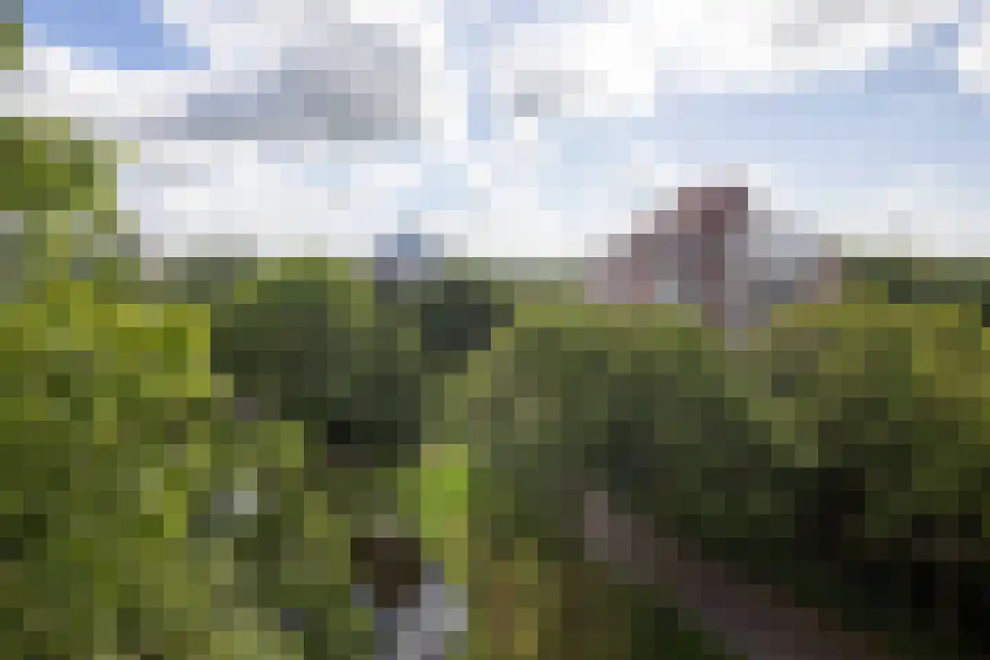 Logger 212 Amstelveen thumbnail 14