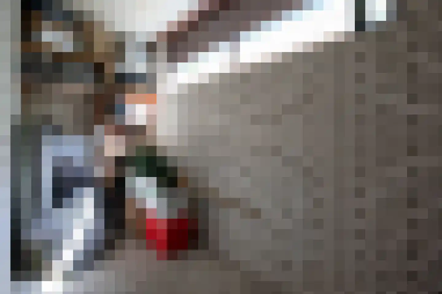 Logger 212 Amstelveen thumbnail 28