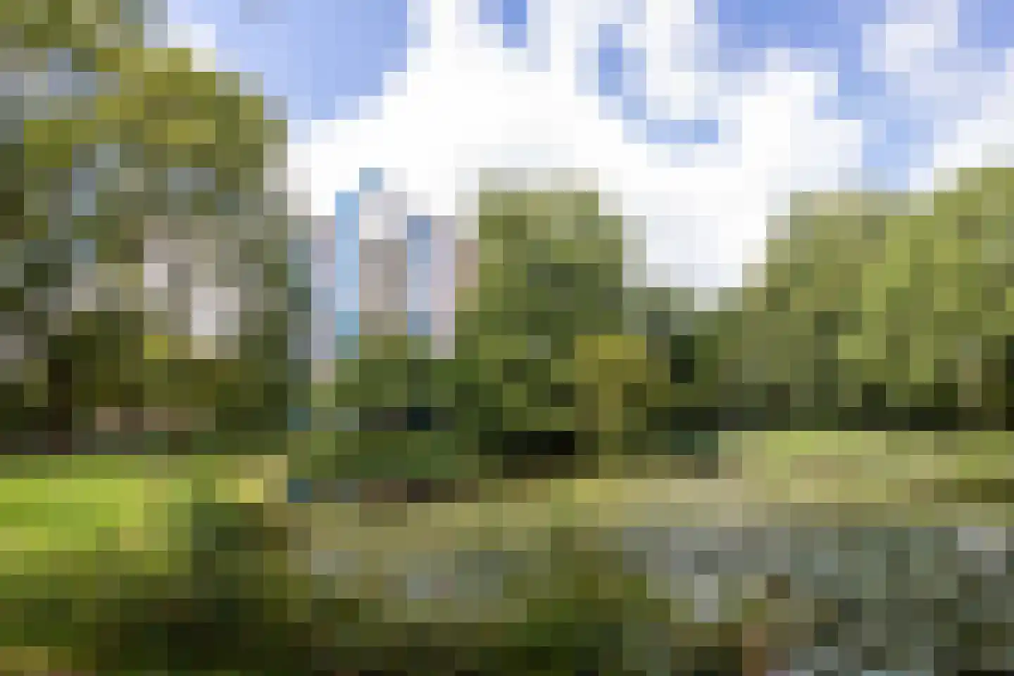 Logger 212 Amstelveen thumbnail 29