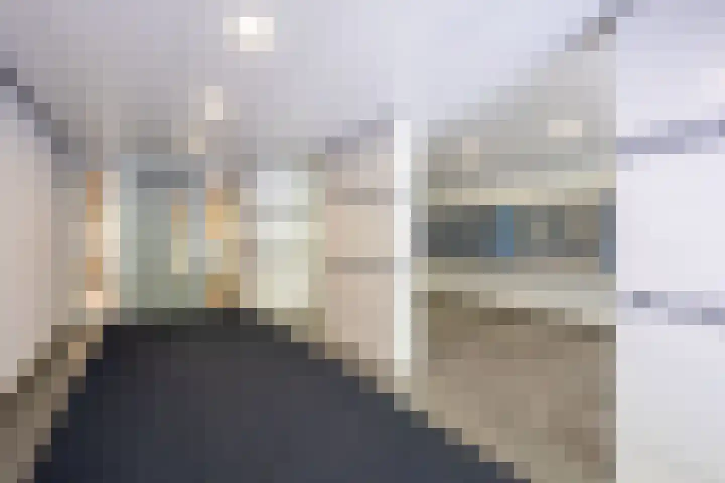 Logger 212 Amstelveen thumbnail 5