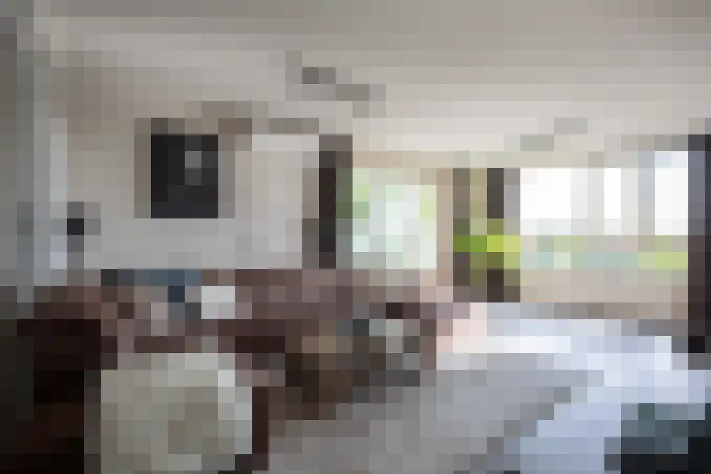 Logger 212 Amstelveen thumbnail 8