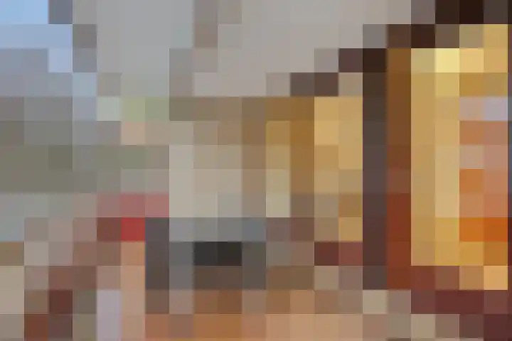 Logger 227 Amstelveen thumbnail 15