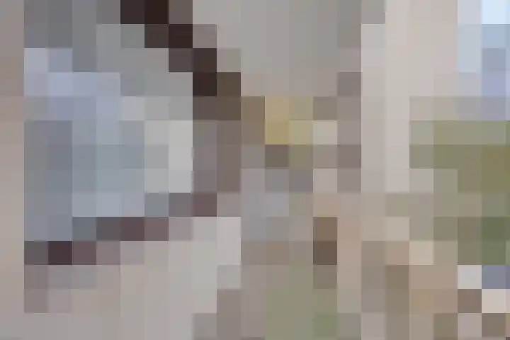 Logger 227 Amstelveen thumbnail 26