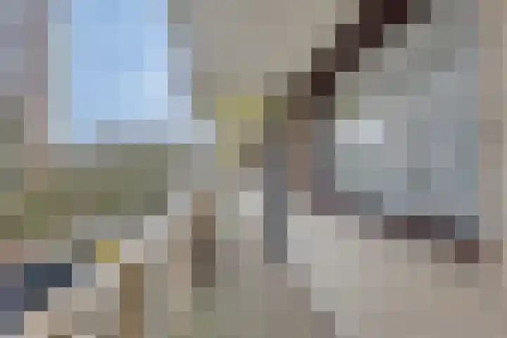 Logger 227 Amstelveen thumbnail 28