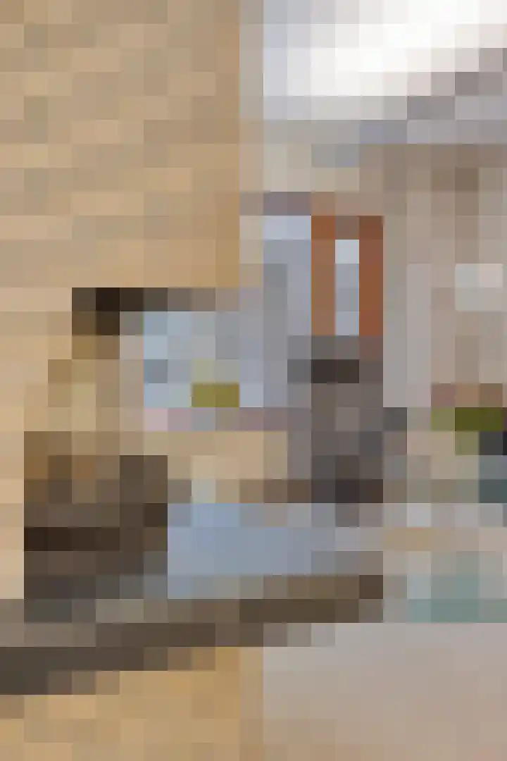 Logger 227 Amstelveen thumbnail 5