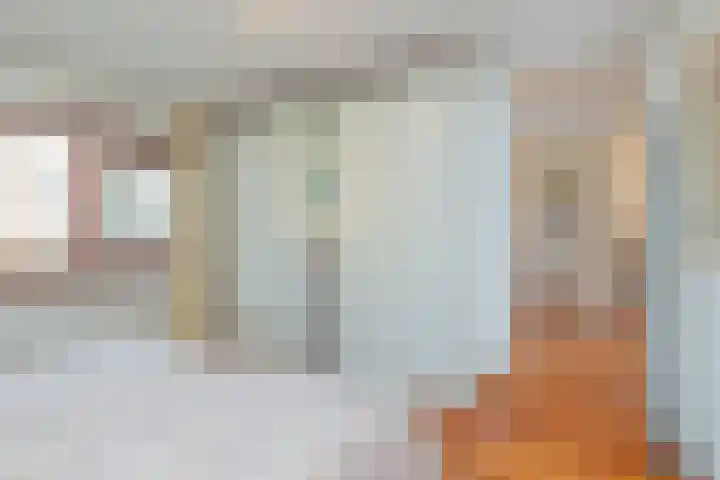 Logger 229 Amstelveen thumbnail 14