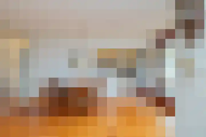 Logger 229 Amstelveen thumbnail 26