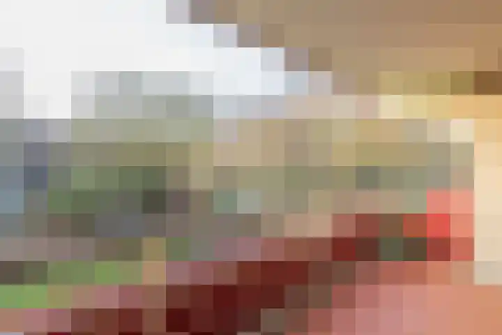 Logger 229 Amstelveen thumbnail 36