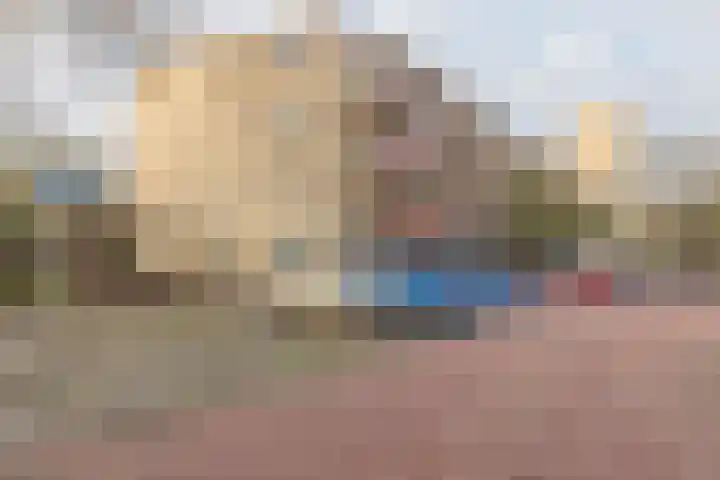 Logger 229 Amstelveen thumbnail 39